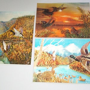 3D Stereo Lenticular holographic Karten (Set 3 Stück). Postkarte/Sammelkarten. Ende der 70er Jahre gekauft. Japan
