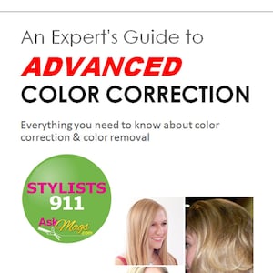 An Experts Guide to ADVANCED Color Correction - eBook by Mags Kavanaugh - Instant Digital Download - Ask Mags - A Stylists 911 - eBook