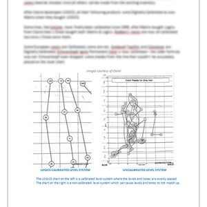 En expertguide till AVANCERAD färgkorrigering - e-bok av Mags Kavanaugh - Direkt digital nedladdning - Fråga Mags - En stylist 911 - e-bok bild 3