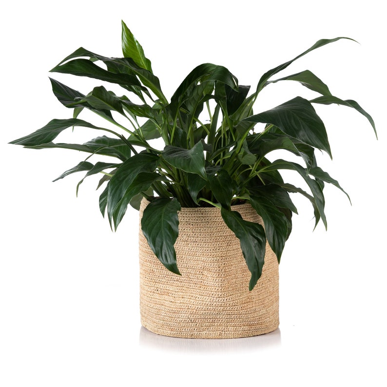 KIAZO Raffia Planter
