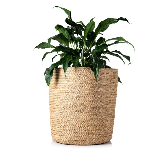 KIAZO Raffia Planter