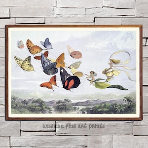 Puede incluir: Una impresión enmarcada que presenta una escena caprichosa de mariposas en vuelo. La obra de arte representa una variedad de mariposas coloridas, una figura de hada y un querubín. La impresión está ambientada sobre un fondo de paisaje y enmarcada en un marco de madera marrón.