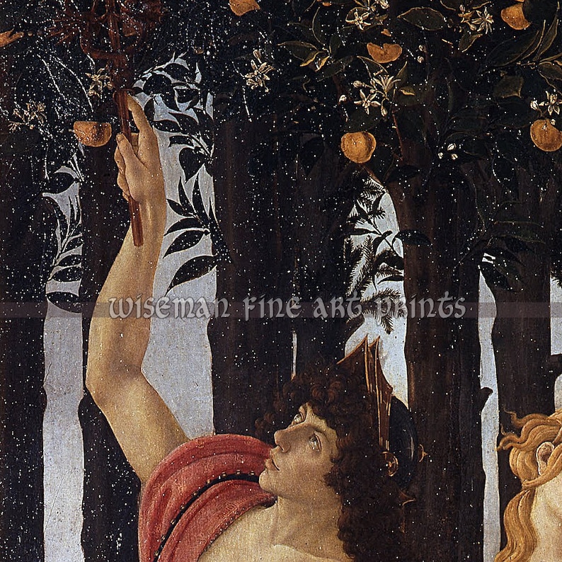 Sandro Botticelli: Primavera Spring Pagan & Magic fine art giclee reproduction image 4