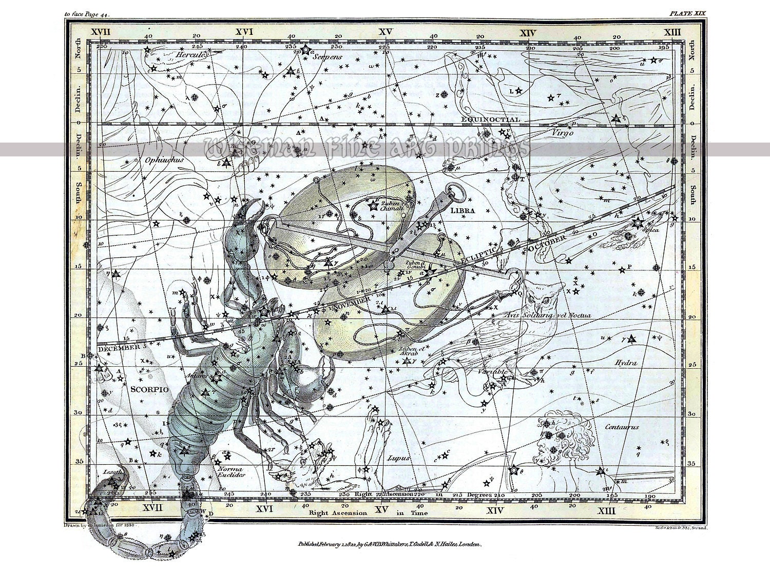 Celestial Atlas, 1822, LIBRA SCORPIO, by Alexander Jamieson Celestial Atlas, 1822, LIBRA SCORPIO, by Alexander Jamieson