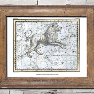 Himmlischer Atlas, 1822, LEO, von Alexander Jamieson - Sternzeichen Antike Karte Fine Art Giclee Reproduktion Druck