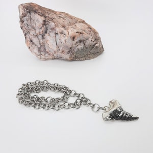 Silver Shark Tooth Necklace, Shark Tooth Pendant, Surfer Shark Tooth Necklace, Stainless Steel Jewelry, Adjustable Necklace,  Ocean Jewelry
