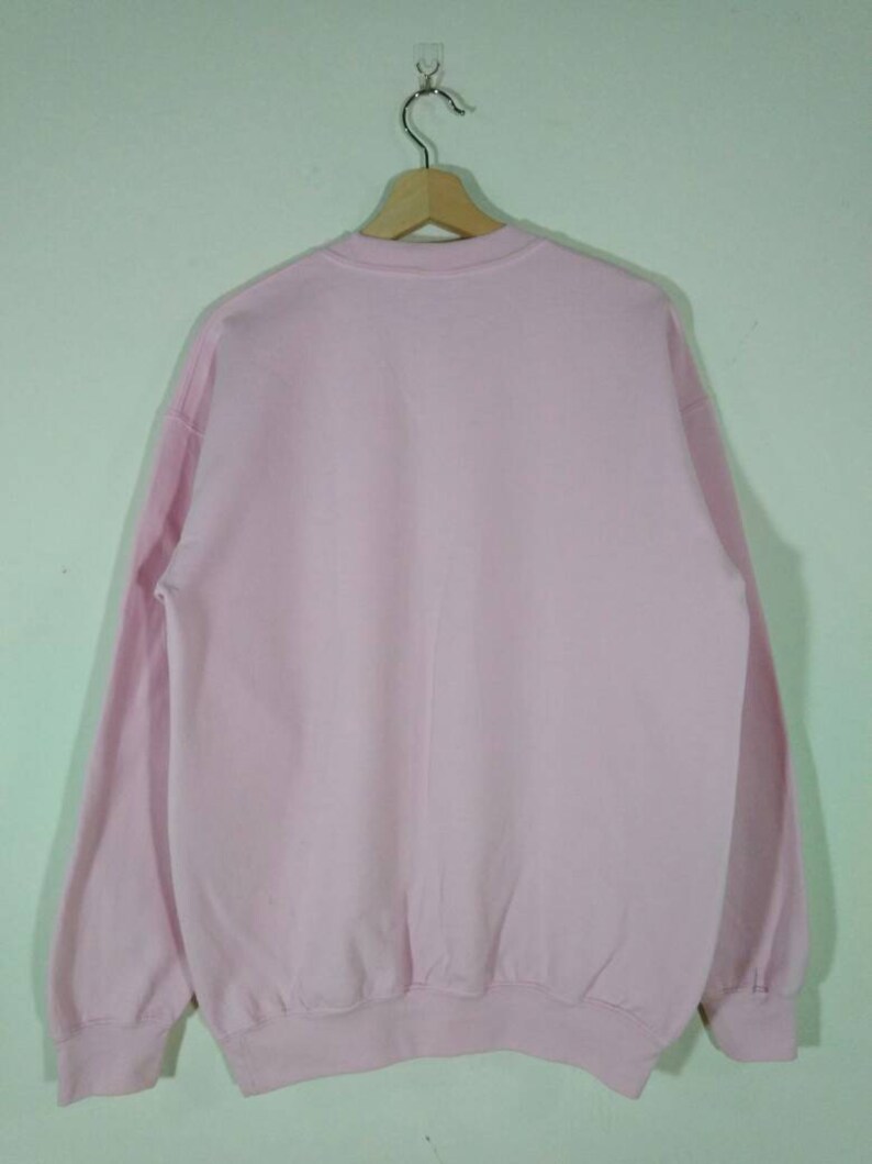 Puede incluir: Una sudadera rosa lisa con mangas largas y cuello redondo.