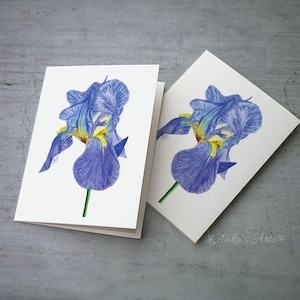 Carte de vœux pour toutes les occasions iris bleu, aquarelle bleue, lot de 3 cartes, lot de 3 cartes, lot de 3 cartes avec enveloppes, carte de voeux de 5 x 7 po., carte de voeux pour elle