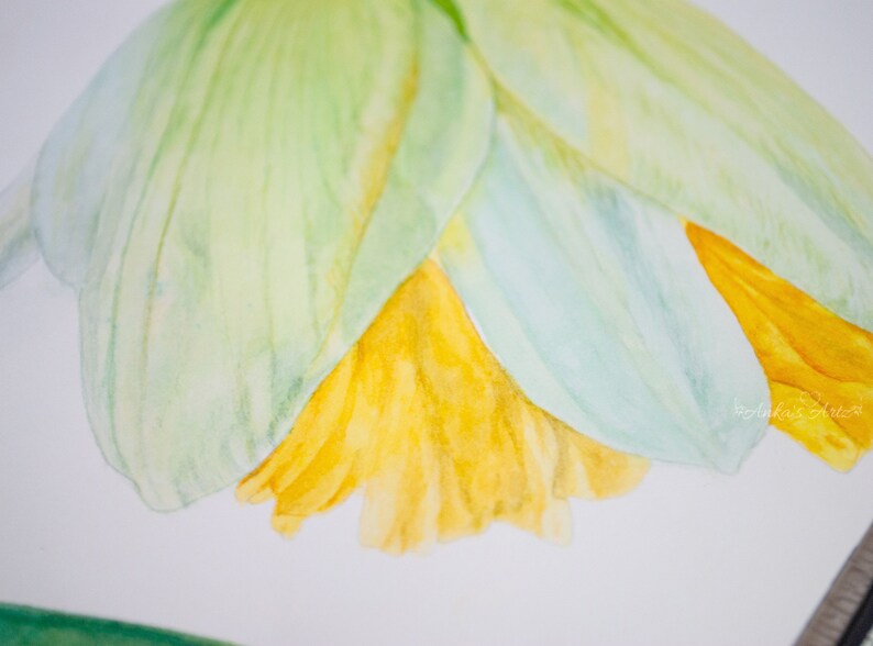 Yellow Wall Art Botanical Art Kitchen Wall Art Floral Wall Art DAFFODIL ~ Botanical Gicl\u00e9e Print Watercolor painting