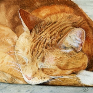 GINGER KATZE Gicle Print - Aquarell Malerei für Katzenliebhaber - Orange Katze Kunst für Wohnkultur und Wanddekor - Auftrag verfügbar