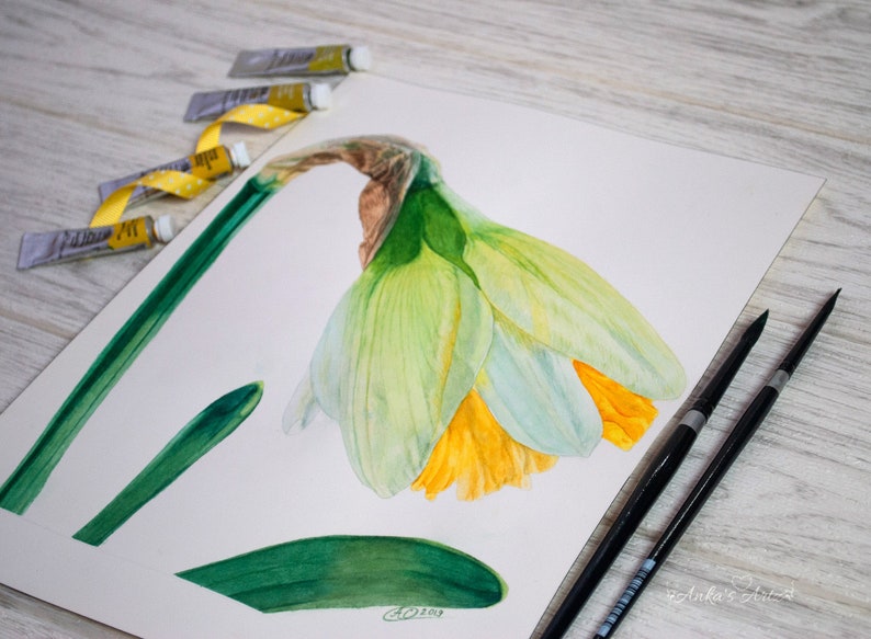 Yellow Wall Art Botanical Art Kitchen Wall Art Floral Wall Art DAFFODIL ~ Botanical Gicl\u00e9e Print Watercolor painting
