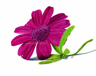 Lila Blumen Aquarell Druck, Botanische Wandkunst