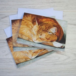 Kartenpackung mit 3, GINGER Katzenkarten, Katzenliebhaber Karte, Orange Katzenkarten, Katzenkartenpackung mit 5, Orange Katzenkarte, Katzenkunstkarten