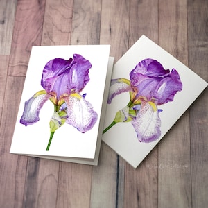 Pack de cartes toutes occasions Purple Iris, cartes de vœux 5x7 », carte de vœux vierge avec enveloppes, art botanique, iris violet.