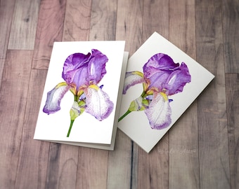 Purple Iris All-Occasion Card Pack, 5x7" Greeting Cards, Blank Greeting Card  with Envelopes, Botanical Art, Purple Iris.