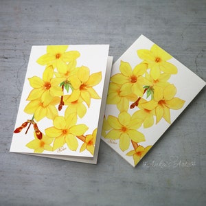 JASMINE flower All-Occasion Card Pack, Yellow Flower Card Pack avec enveloppes, 5x7" Cartes de voeux, Cartes botaniques, Fleur Boho jaune