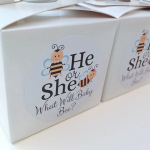 What will baby bee stickers, he or she stickers, baby shower favour stickers, bee baby shower, gender reveal stickers, 045 image 1