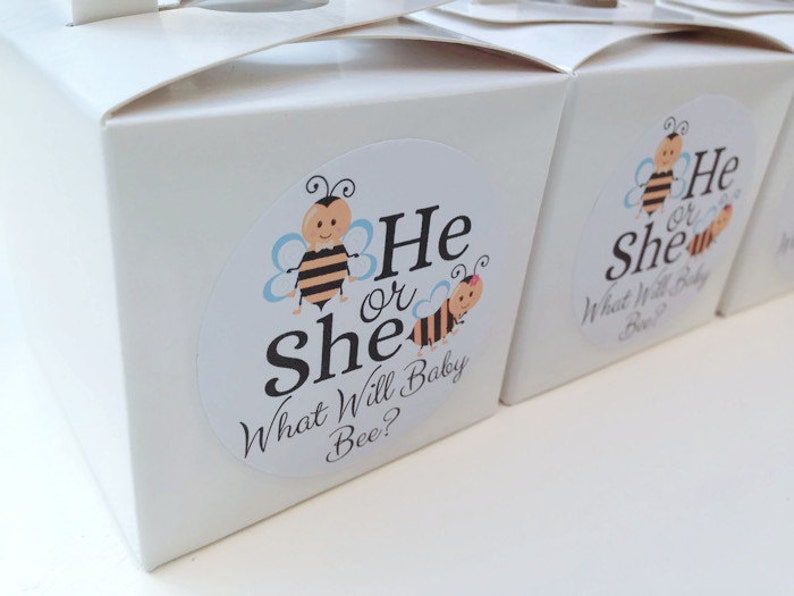 What will baby bee stickers, he or she stickers, baby shower favour stickers, bee baby shower, gender reveal stickers, 045 image 1