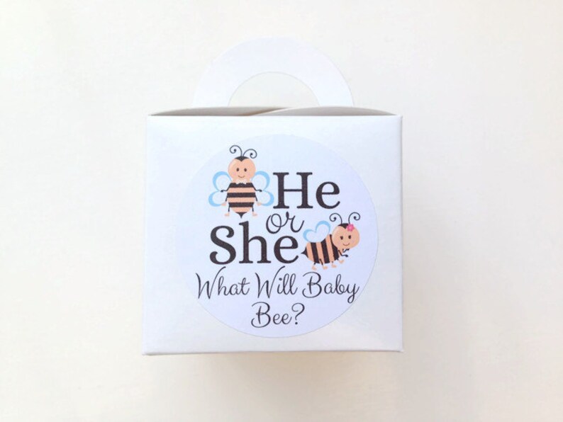 What will baby bee stickers, he or she stickers, baby shower favour stickers, bee baby shower, gender reveal stickers, 045 image 2
