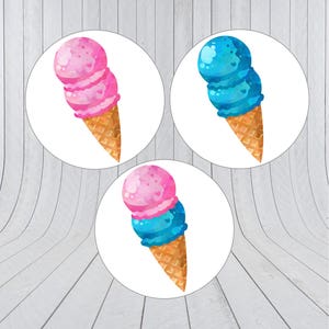 Twins Gender Reveal, Twins gender reveal stemming stickers, Team roze, blauwe Team, hij of zij, roze of blauw, Twins Gender reveal party etiketten, 220