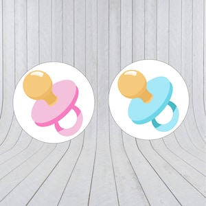 Team Boy Team Girl Sticker: Gender Reveal Party Voting Etiketten (208)