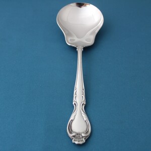 May include: A silver serving spoon with a decorative handle. The spoon has a rounded bowl and a long, slender handle with an ornate design.