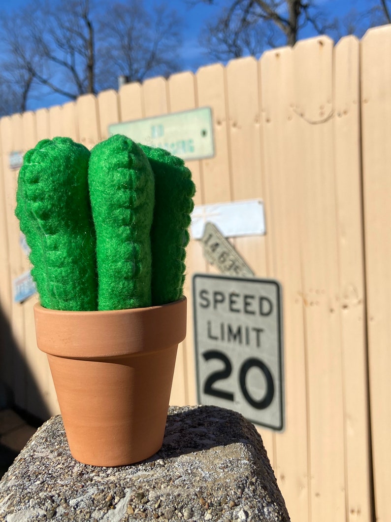 Cactus Pincushion Etsy