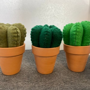 May include: Three felt cactus plants in terracotta pots. The cacti are green and brown and have a segmented, rounded shape.