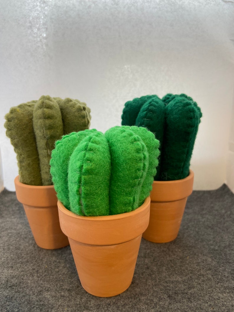Cactus Pincushion Etsy