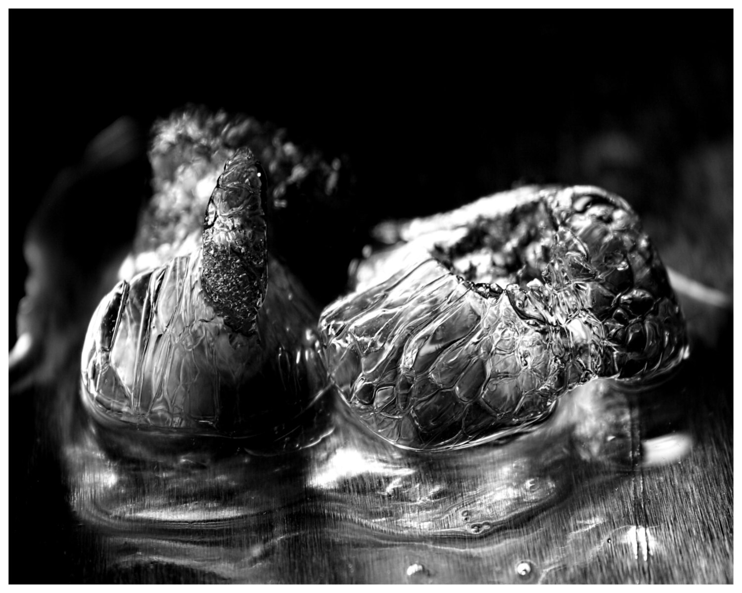Black and White Melting Ice Photography Abstract Still Life Etsy