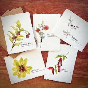Modern Hawaiian Botanical Notecards or Art Print, Handmade Paper, Hawaii Inspired, Tropical, Floral Stationery, Endemic & Indigenous Plants