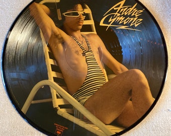 1980s Andre Cymone Picture Disc PLUS Press Kit