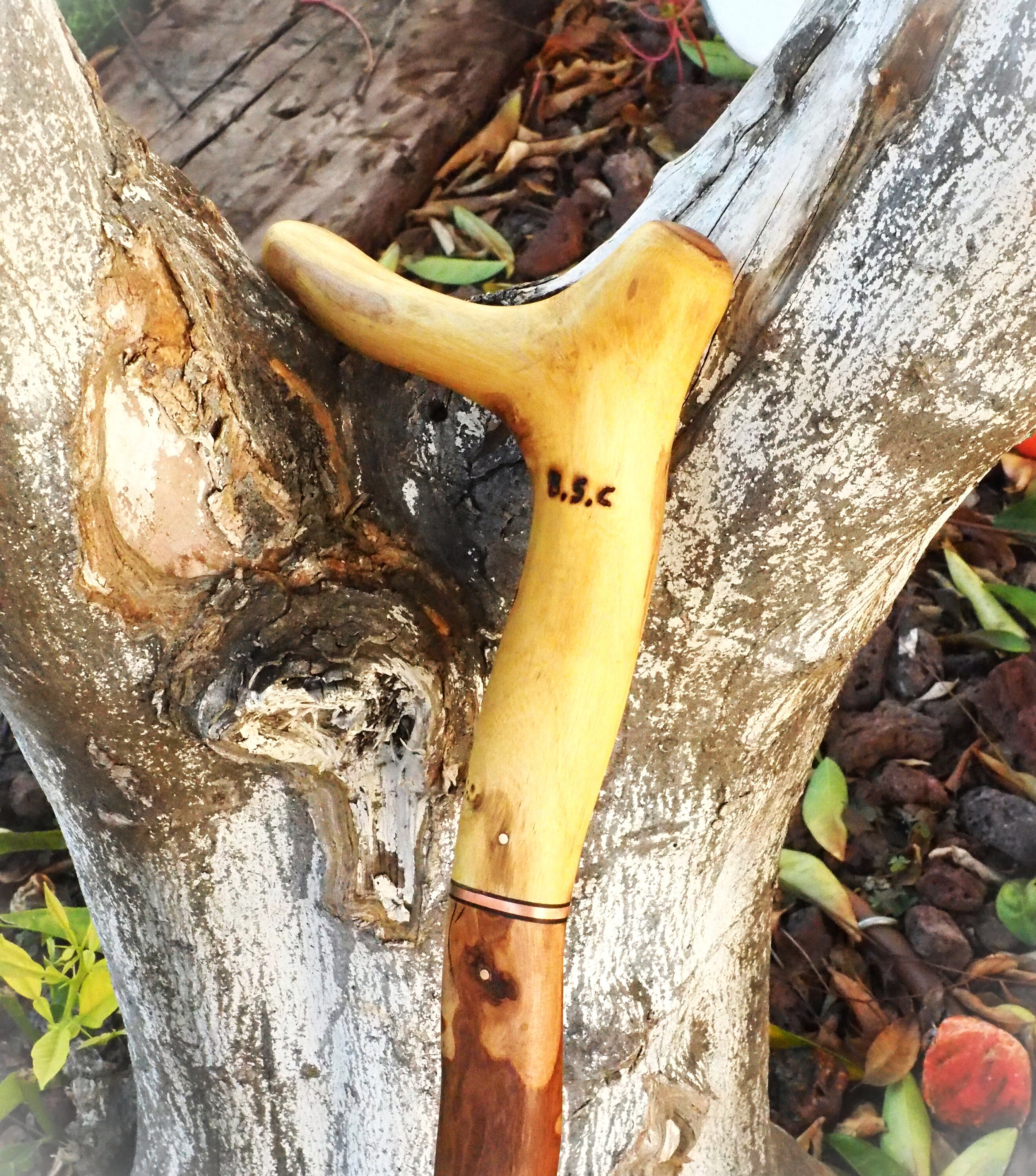 Acacia /olive Wood Cane Etsy