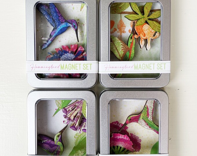 Hummingbird Magnet Sets