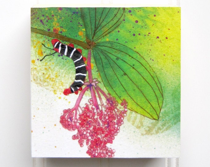 Caterpillar Print on Wood Panel (4 x 4)