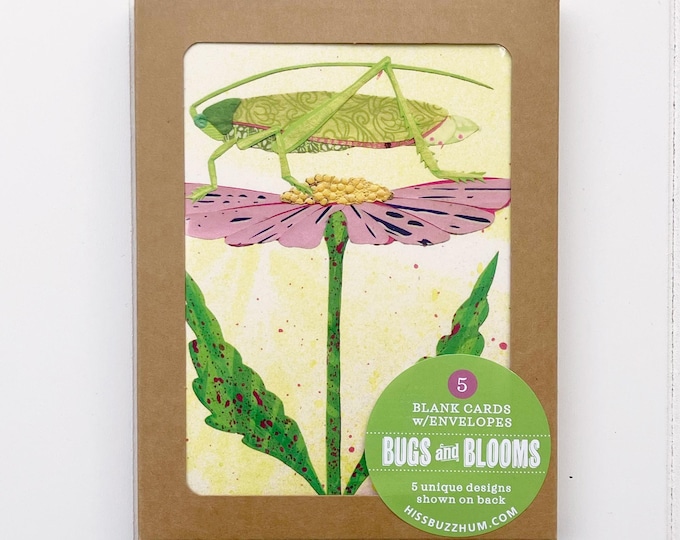 Bugs & Blooms Blank Card Set - 5 Unique Designs - A2 Size (Large)