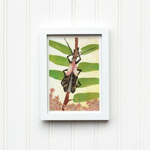 Black Tie Beetle Fine Art Giclee Print 5x7 8x10 11x14