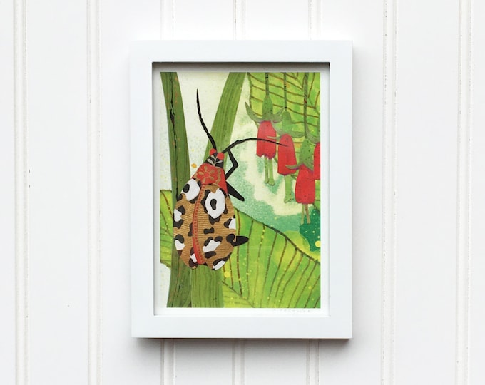 Leopard Beetle Fine Art Giclee Print 5x7 8x10 11x14