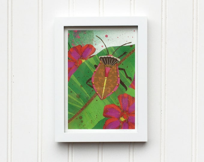 Brown Shieldback Beetle Fine Art Giclee Print 5x7 8x10 11x14