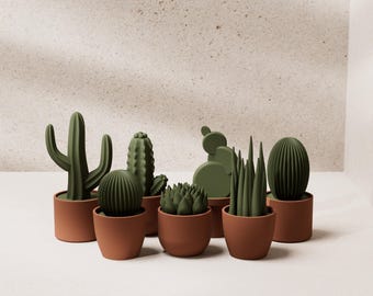 DESERT: Mini Faux Succulents Set of 7 — Unique Gift — Desk Decor