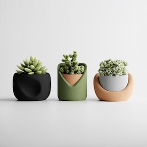 May include: Three small succulent plants in decorative pots. The pots are black, green, and tan, with unique shapes and textures. The succulents are various shades of green, creating a natural and minimalist aesthetic. The background is plain white.
