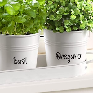 Decalques de ervas, etiquetas de vasos de plantas, decalques de vinil para jardim de ervas, etiqueta de jardinagem, decalque de organização, decalque de estufa, decalques de plantas, decalques de vasos