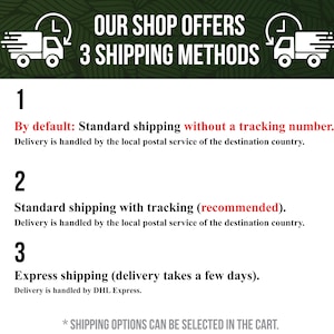 May include: White graphic with text "OUR SHOP OFFERS 3 SHIPPING METHODS" and illustrations of delivery trucks. The image details three shipping options: standard, standard with tracking, and express.