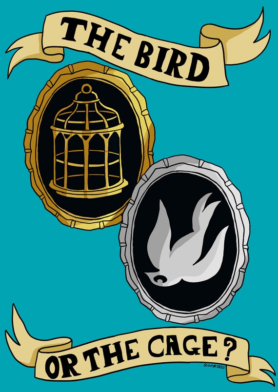 Bioshock Infinite Oiseaux Ou Cage