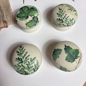 Könnte beinhalten: Vier runde, weiße Keramikknöpfe mit grünen Blattdesigns. Die Knöpfe haben einen rustikalen, ländlichen Stil und zeigen eine Vielzahl von Blattmustern, darunter Farne und Efeu.