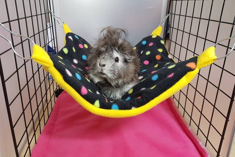 Guinea Pig Hammock for C&C Cages CUSTOM ORDER Price Includes Etsy