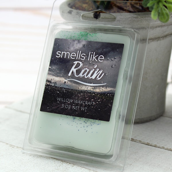 Scented Wax Melt Clamshell, Smells Like Rain, Atmospheric Petrichor, Ozone, Cool Wet Soil