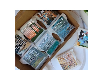 Wanderlust Collection Scented Wax Melt Sample Set