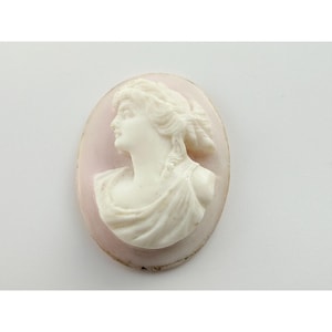 Puede incluir: Cameo ovalado con un relieve blanco del perfil de una mujer sobre un fondo rosa pálido. El cabello de la mujer está peinado hacia arriba y lleva una prenda drapeada. El cameo está enmarcado en un marco de color claro.