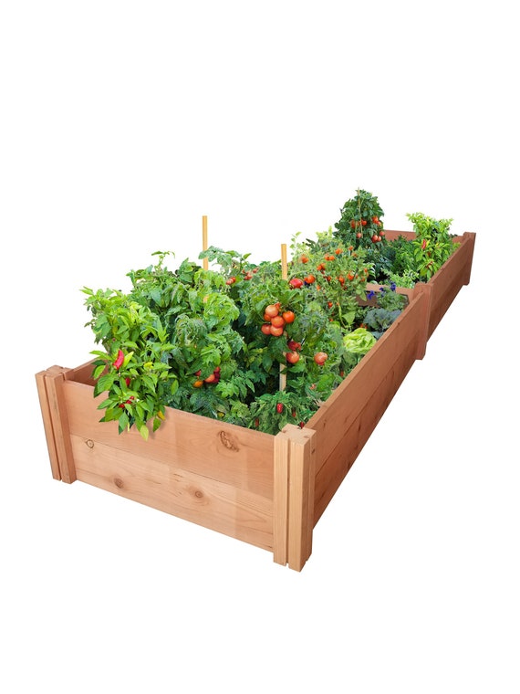 Grogardens 2 X 8 11 Redwood Raised Garden Bed Free - 2 X 4 Raised Garden Bed Grogardens 2 X 8 11 Redwood Raised Garden Bed Free - 2 X 4 Raised Garden Bed